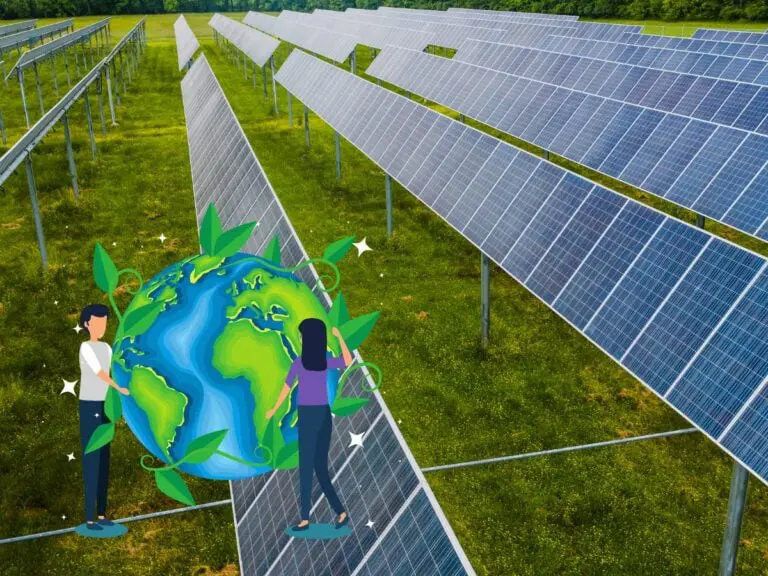 Comment préserver la biodiversité sous une installation solaire