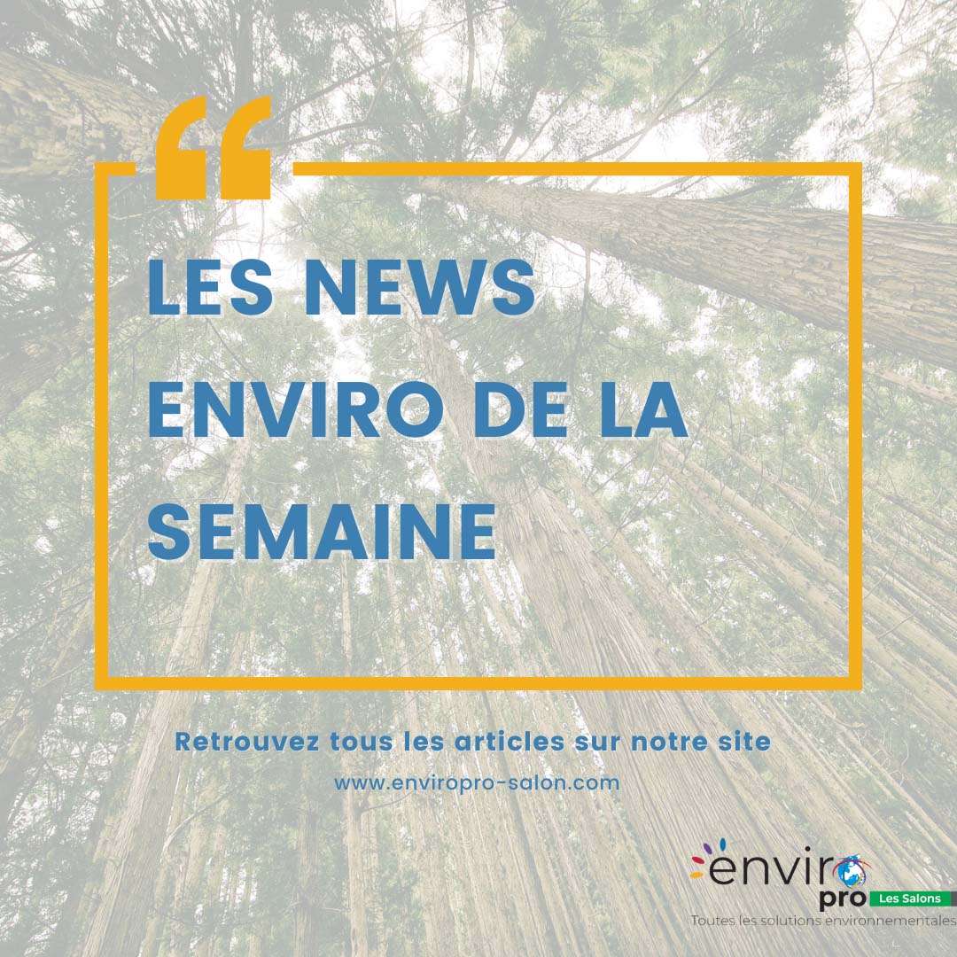 Salon Angers Les News Environnementales Du 25 Au 30 Octobre