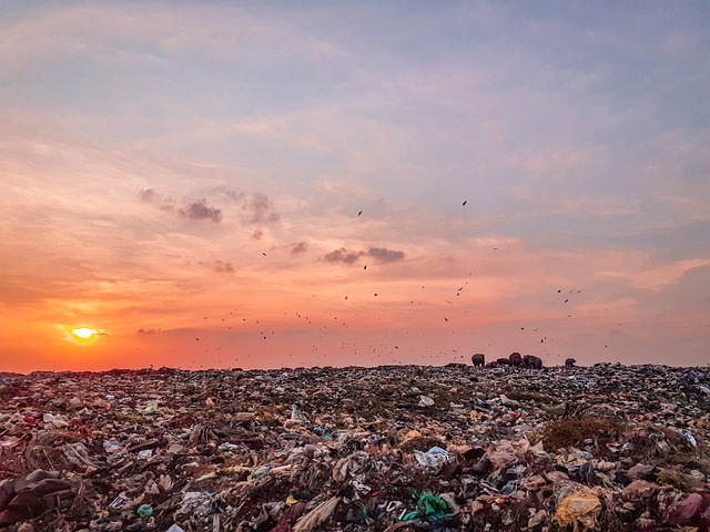 Les déchets stagnent-ils dans l’estuaire de la Loire ?