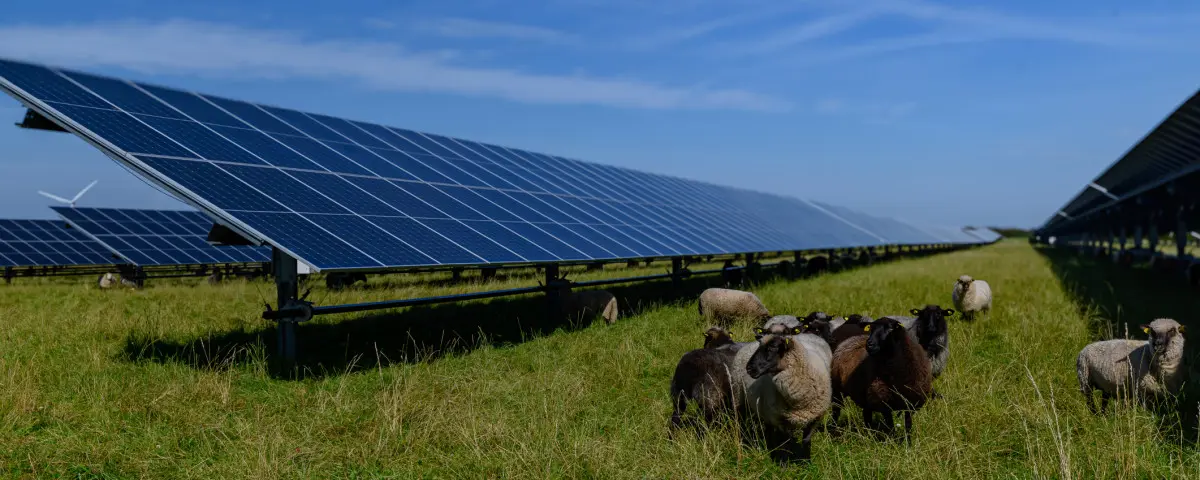 Agrivoltaïsme : concilier transition écologique et transition agricole