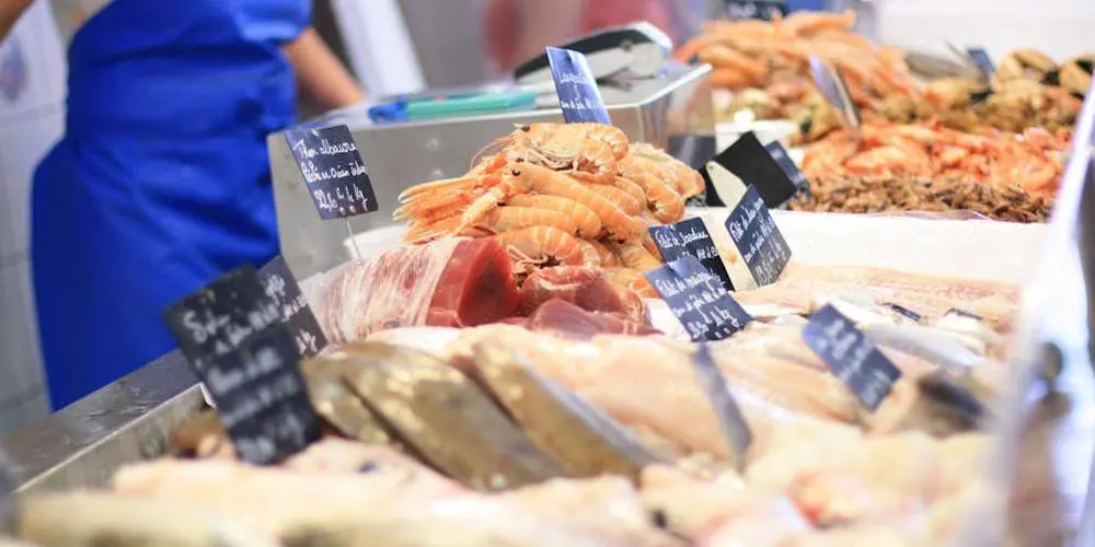 C’est quoi la pêche durable ? Quand une étude d’ampleur inédite bouscule les idées reçues