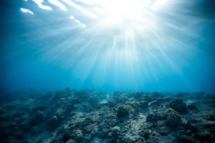 Dans les océans, les records de chaleur menacent la vie marine