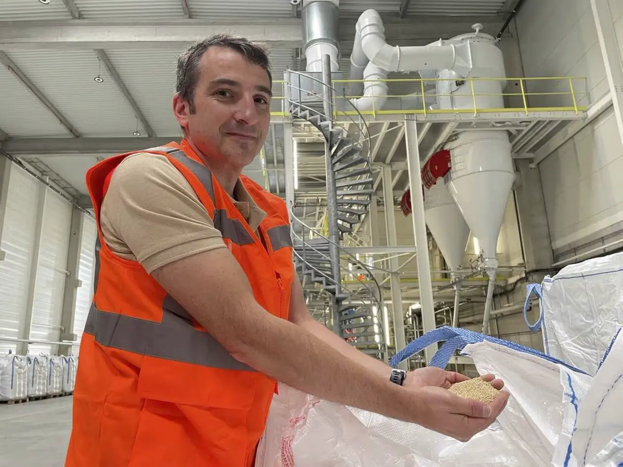 En Anjou, une usine de tri dernier cri pour les petites graines sans gluten qui montent