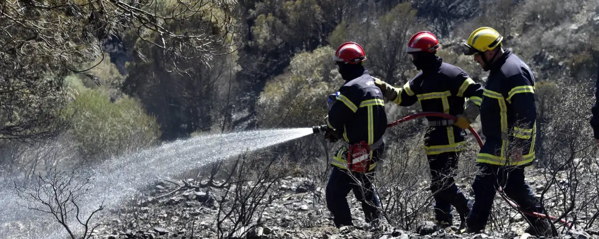 Les incendies géants ont causé d'importantes émissions de CO2 l'an dernier