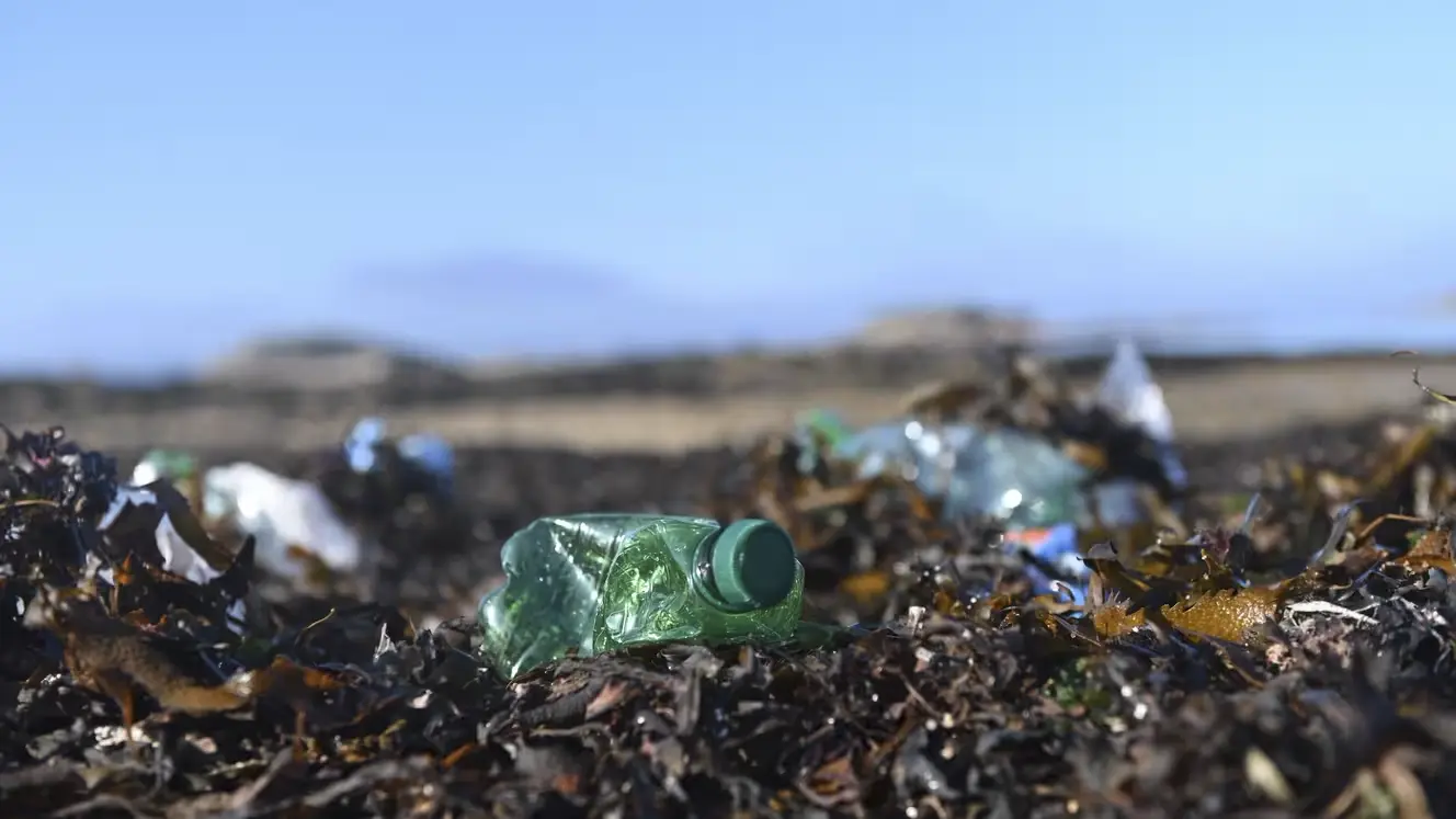 Microplastiques en France : "Ils sont essentiellement issus d'emballages", indique Roland Marion, directeur Économie circulaire de l’Ademe