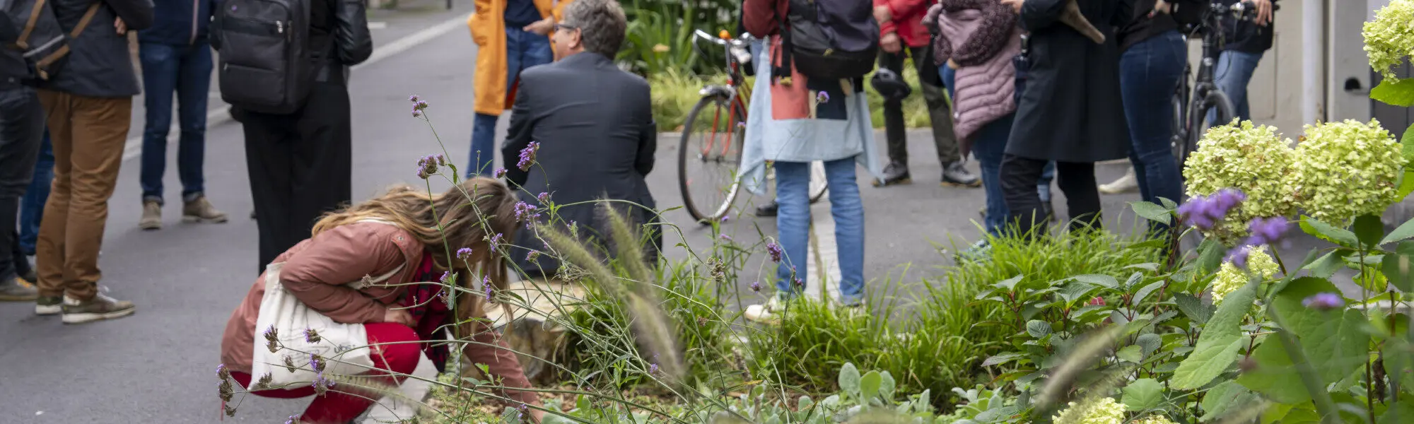 Nature et climat : identifiez, orientez et renforcez les Solutions fondées sur la Nature grâce à la recherche-action !