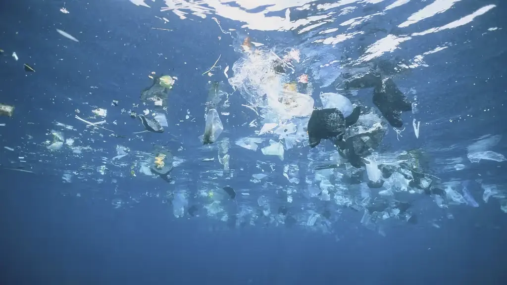Protection des océans : les dix recommandations de 2 000 scientifiques avant la Conférence de l'ONU à Nice