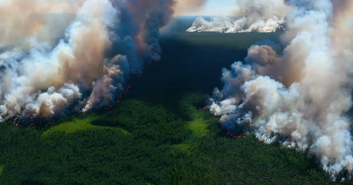 Réchauffement climatique : les records s'accumulent mais l'action politique patine