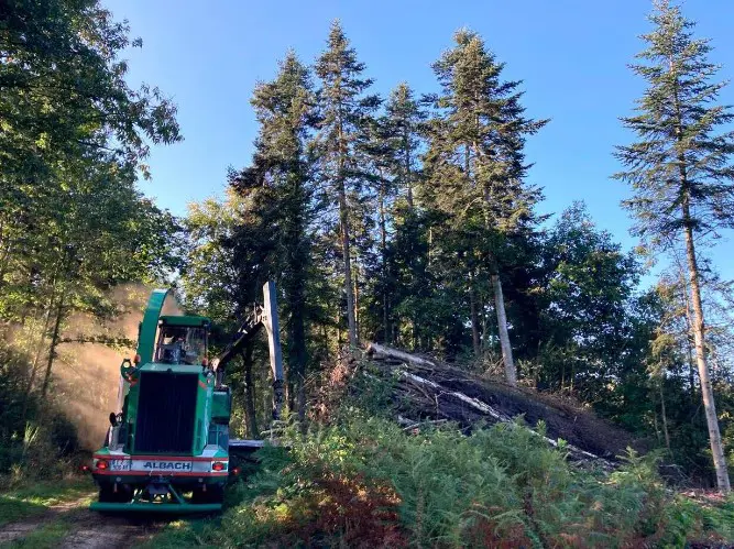 Énergie. La forêt française, une ressource abondante, renouvelable… mais fragile