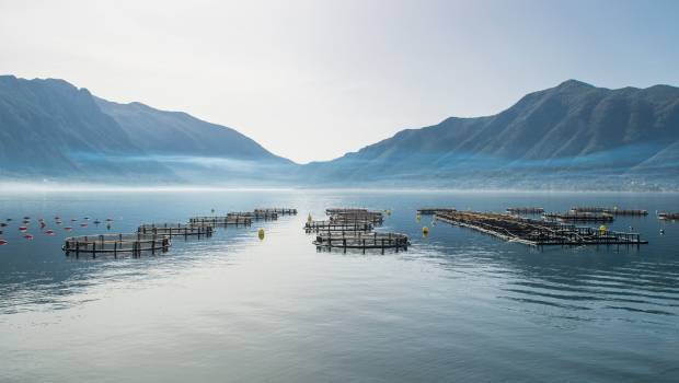 Un nouveau référentiel de certification pour une aquaculture plus durable