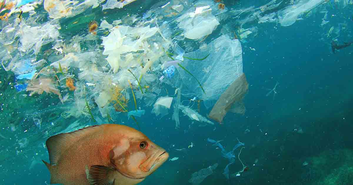 Plastiques en mer : un problème de taille