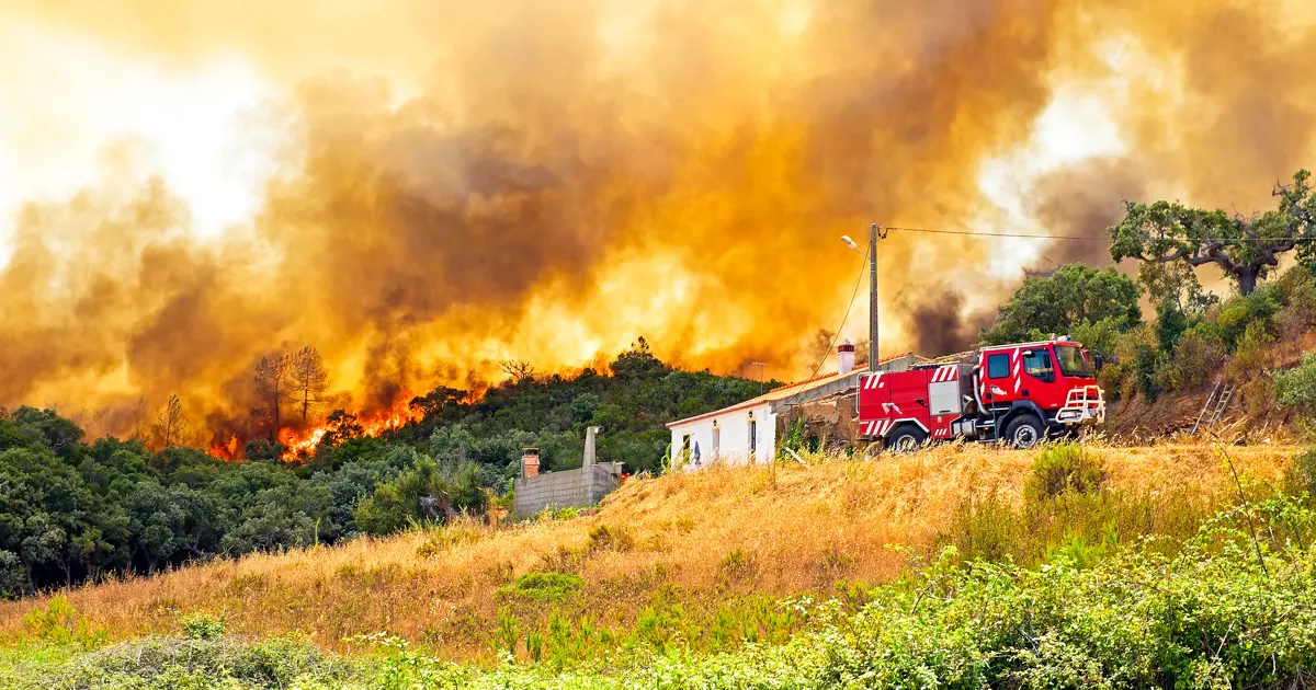 Adaptation au changement climatique : la Cour des comptes européenne s'alarme