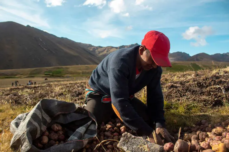 Biodiversité : 5 choses à retenir du rapport Nexus de l’IPBES