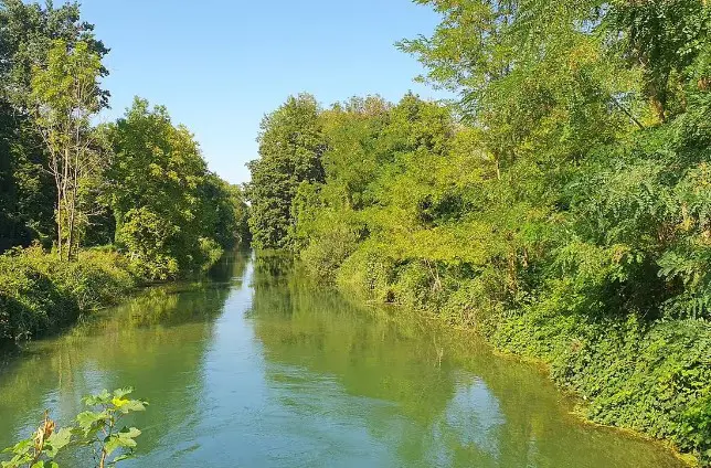 En Alsace, la réhabilitation du canal Rhin-Rhône ne fait pas l'unanimité