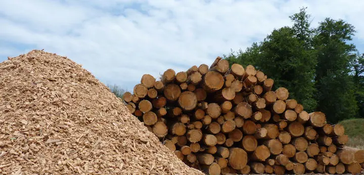 45 % du bois exploité en France est finalement valorisé en énergie renouvelable et locale