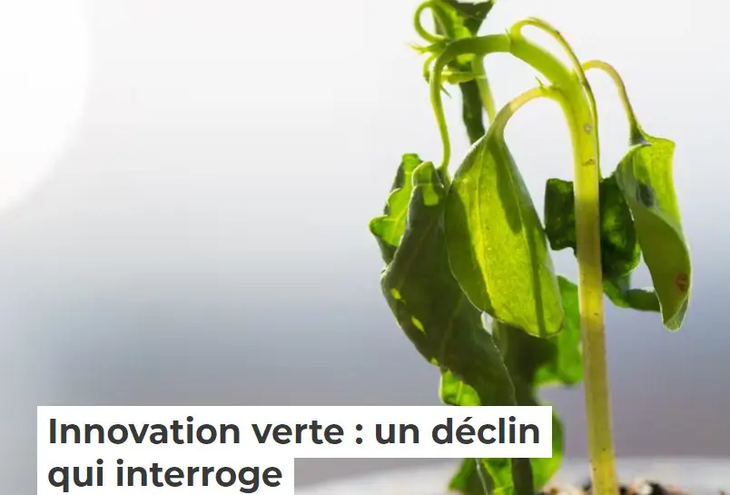 Innovation verte : un déclin qui interroge
