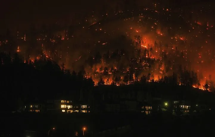 Sécheresse, incendies… La planète n’absorbe plus autant de CO2