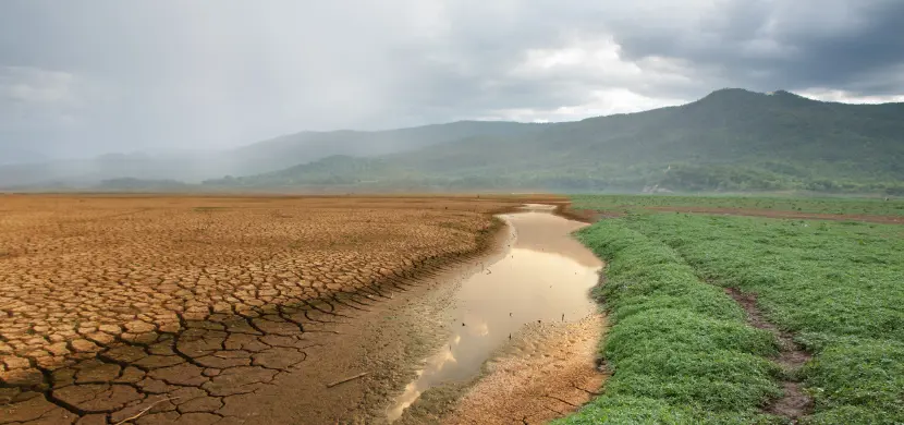 « Il faut une implication populaire beaucoup plus forte sur les sujets écologiques »