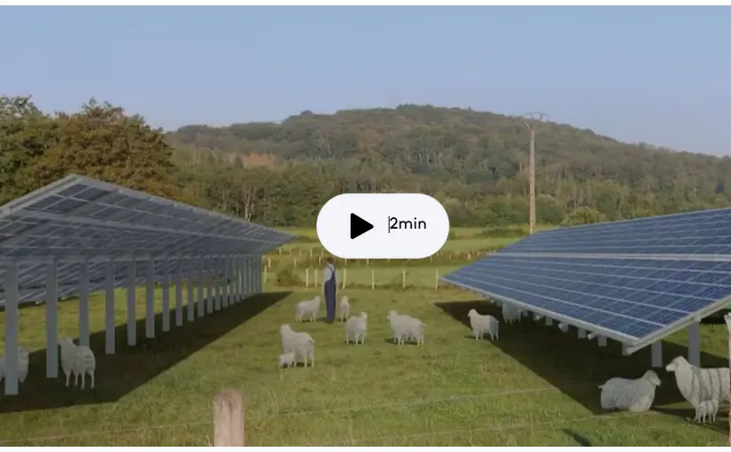 Énergies renouvelables : une ferme agrivoltaïque sème la discorde dans l'Oise
