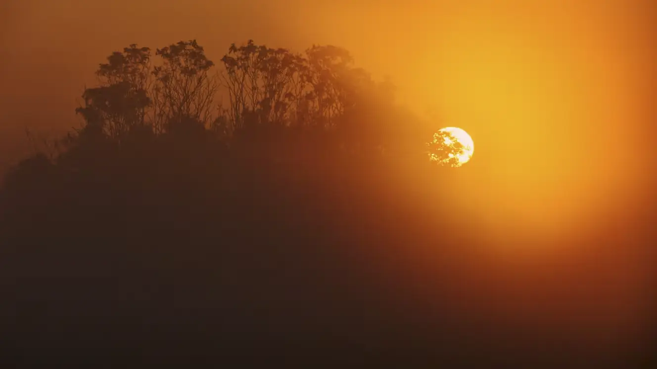 Crise climatique : l'année 2024 sera la plus chaude jamais enregistrée et la première à dépasser 1,5°C de réchauffement, selon l'observatoire Copernic