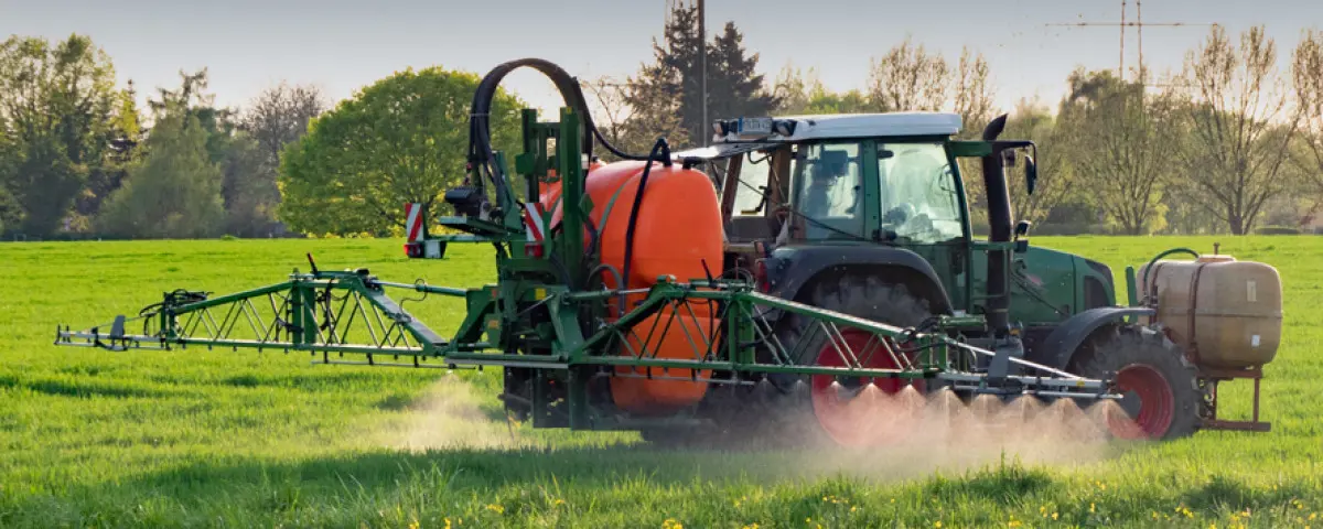 Glyphosate autorisé jusqu'en 2033: des ONG saisissent la justice de l'UE