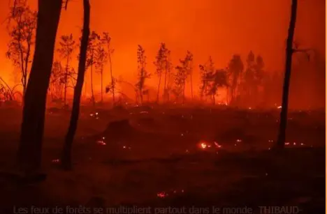 Incendie, inondation, canicule… : L’enfer sur Terre