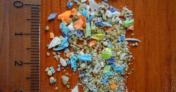 Microplastiques : les particules les plus petites, souvent non échantillonnées, sont les plus nombreuses