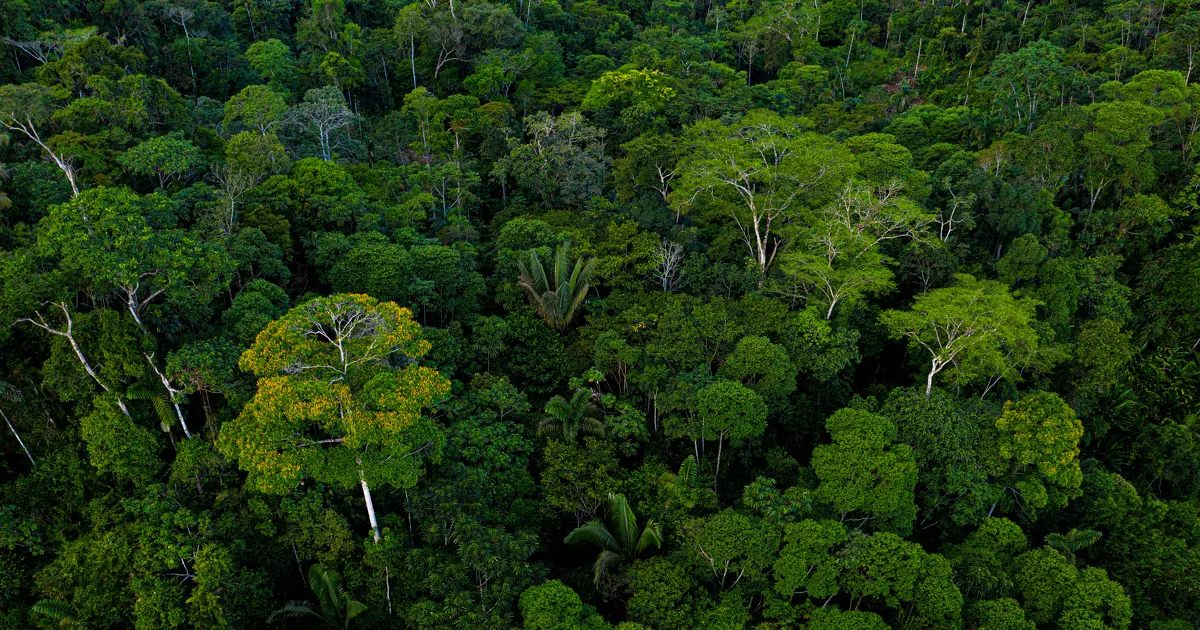 WWF exhorte les entreprises à développer d'urgence des plans de transition nature