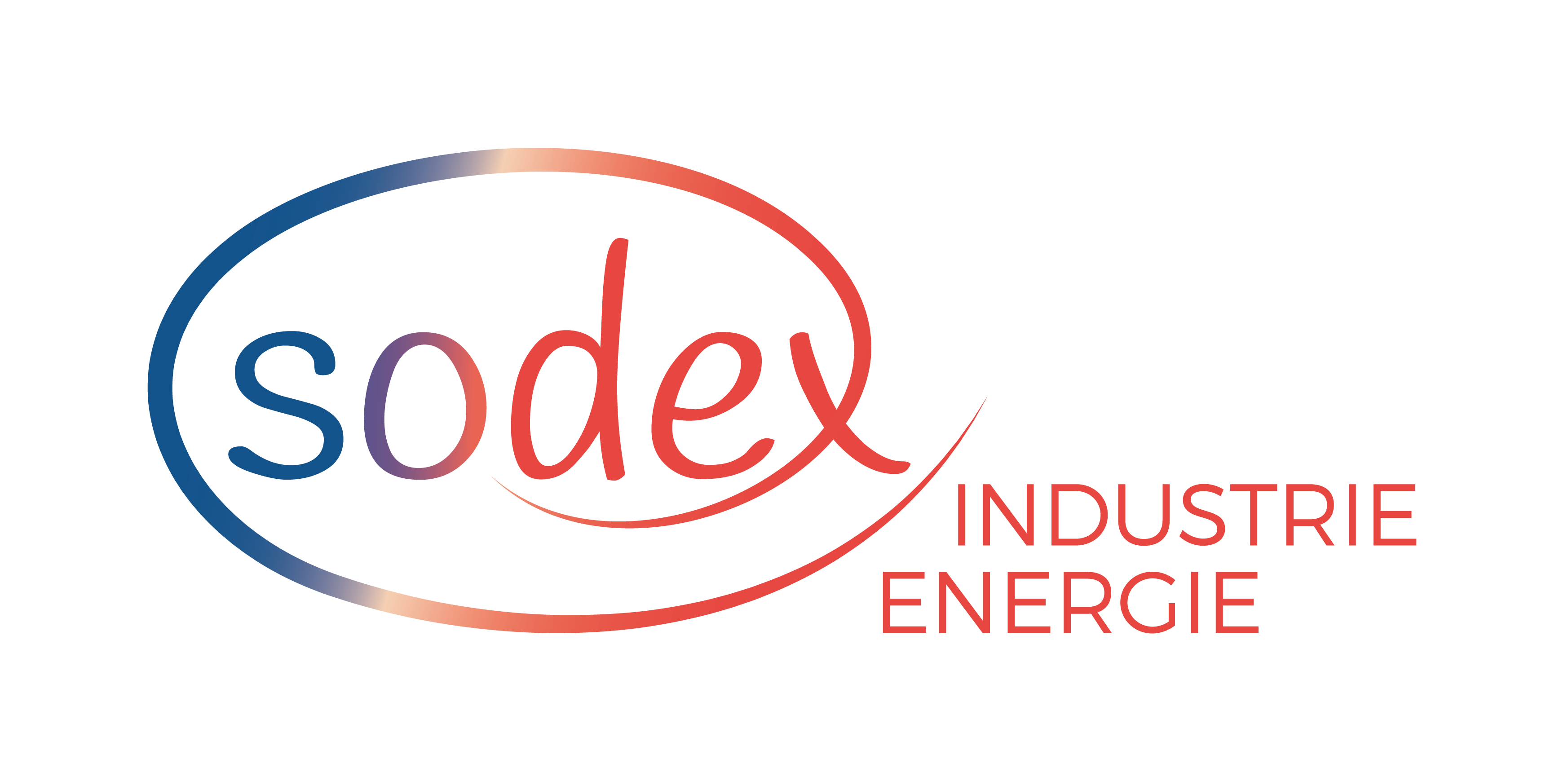 Logo : SODEX INDUSTRIE ENERGIE