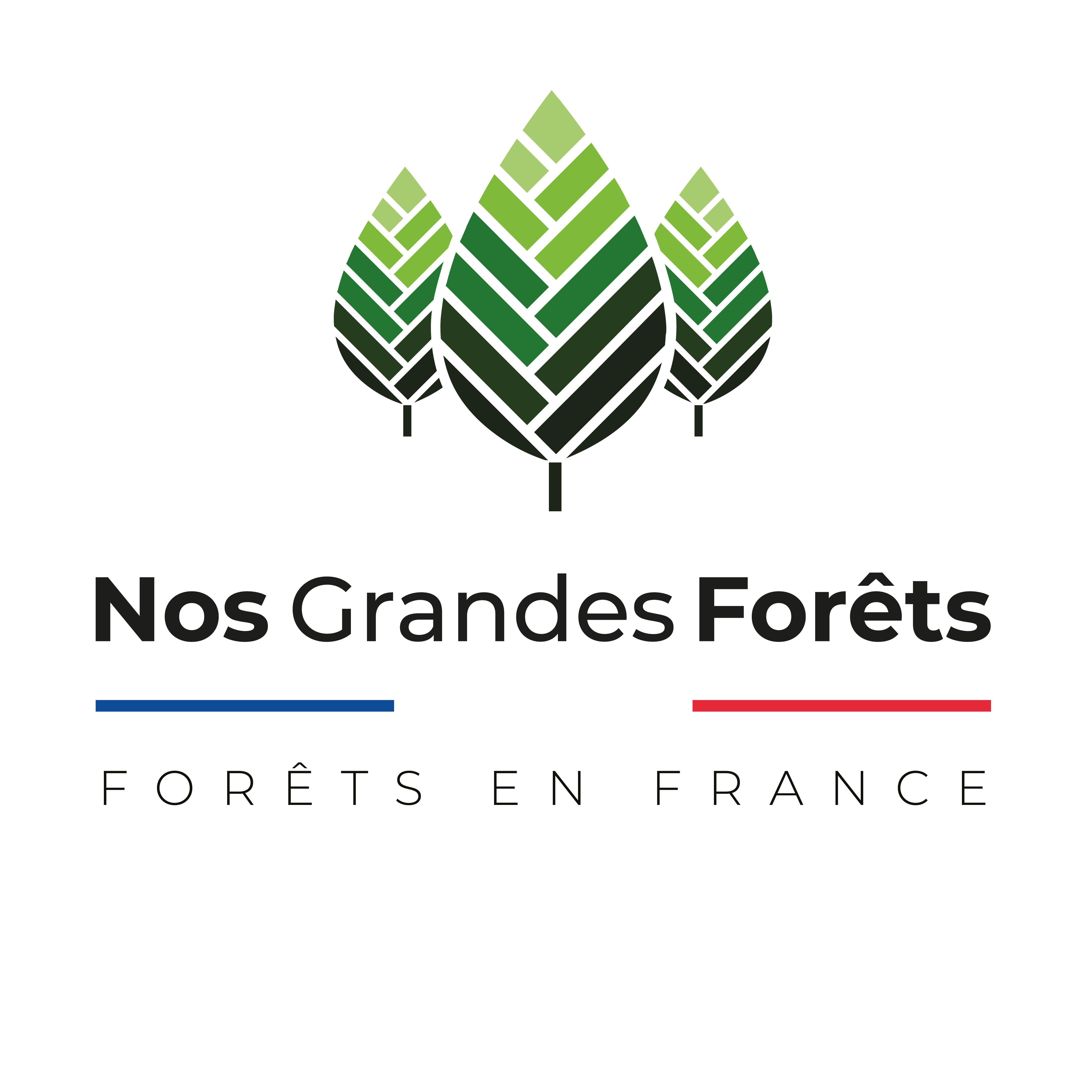 Logo : Nos Grandes Forêts