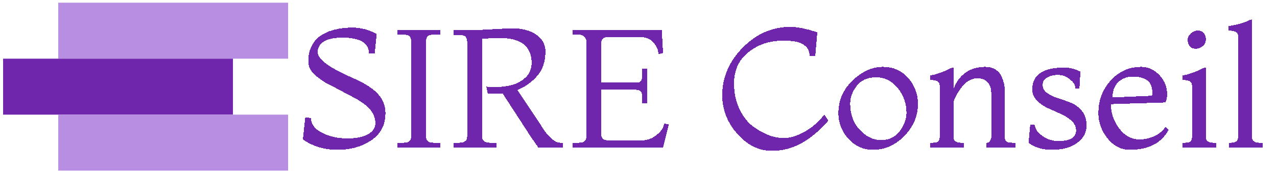 Logo : SIRE Conseil