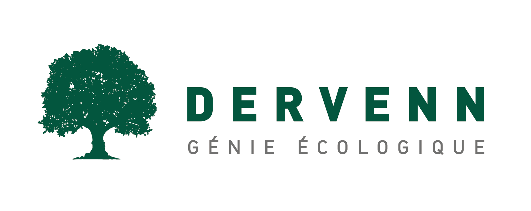 Logo : DERVENN