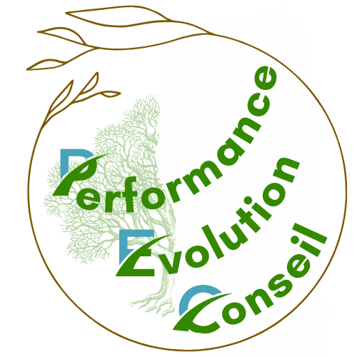 Logo : Performance Evolution Conseil