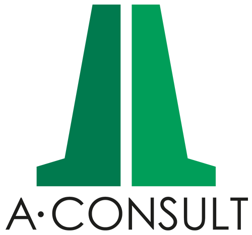 Logo : A CONSULT France