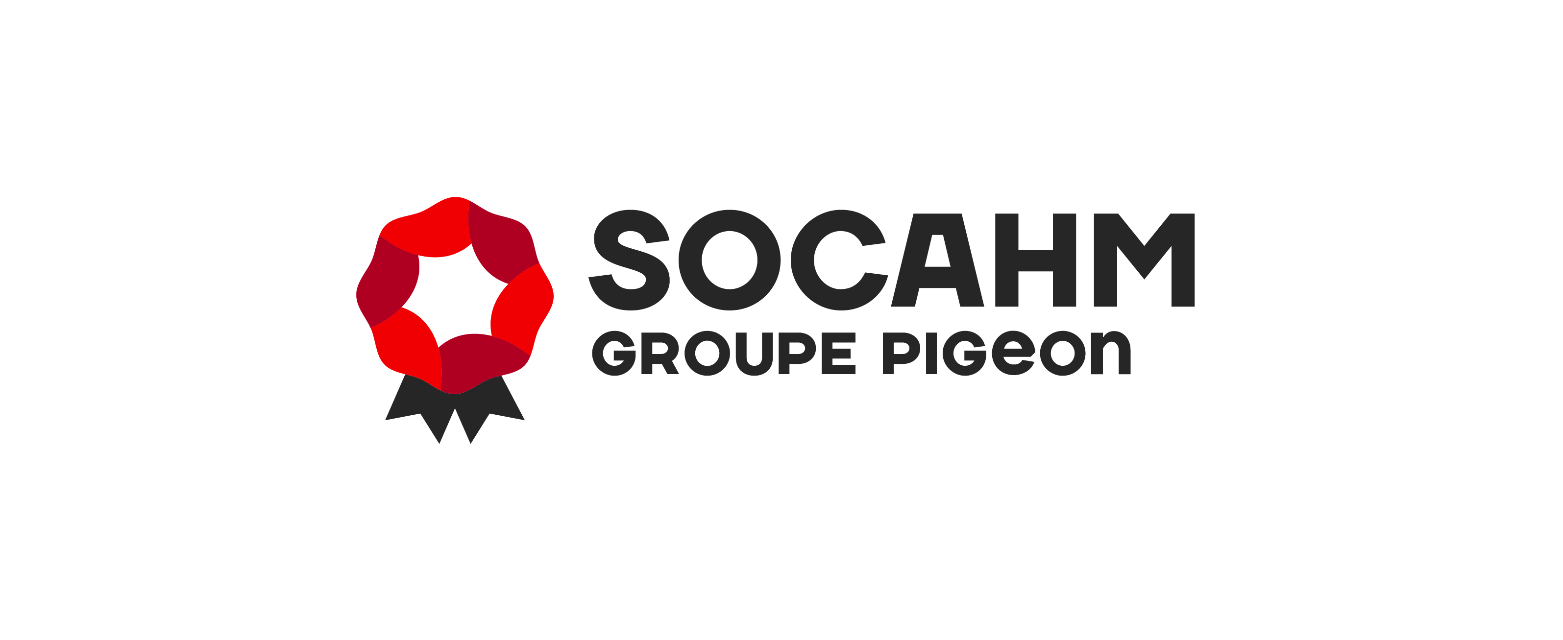Logo : Groupe PIGEON