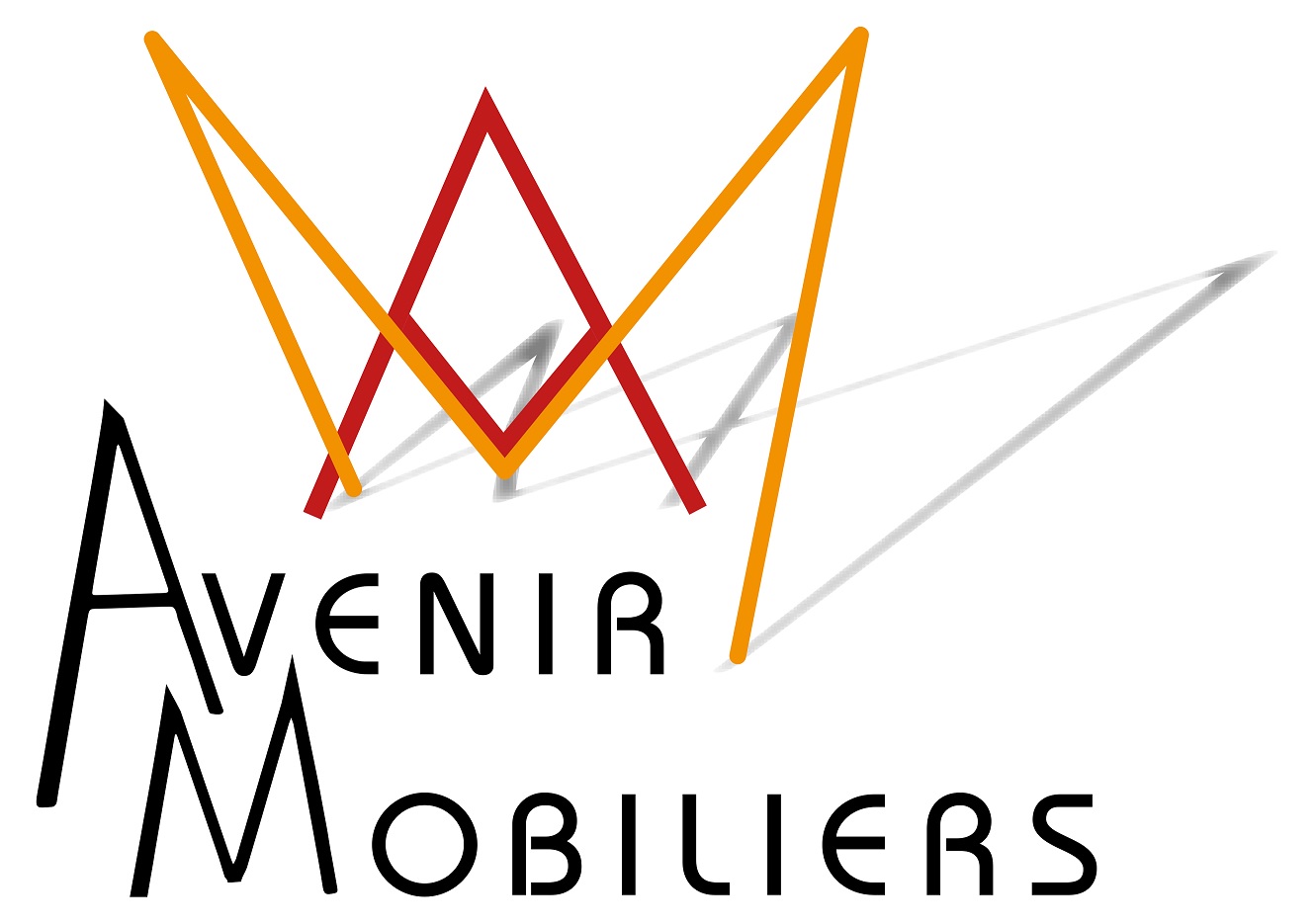 Logo : AVENIR MOBILIERS