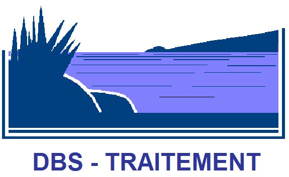 Logo : DBS TRAITEMENT