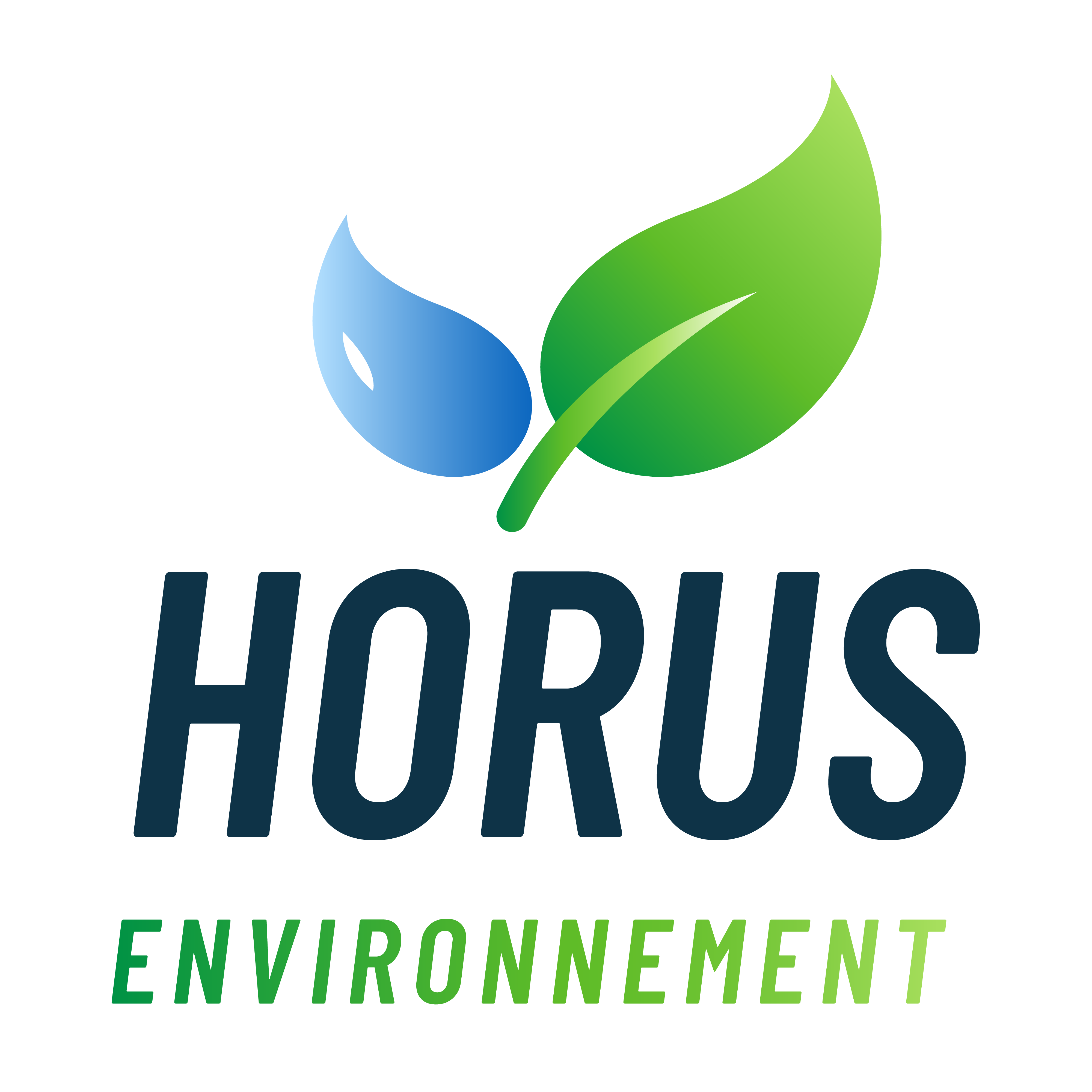 Logo : HORUS ENVIRONNEMENT