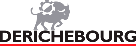 Logo : Derichebourg Environnement