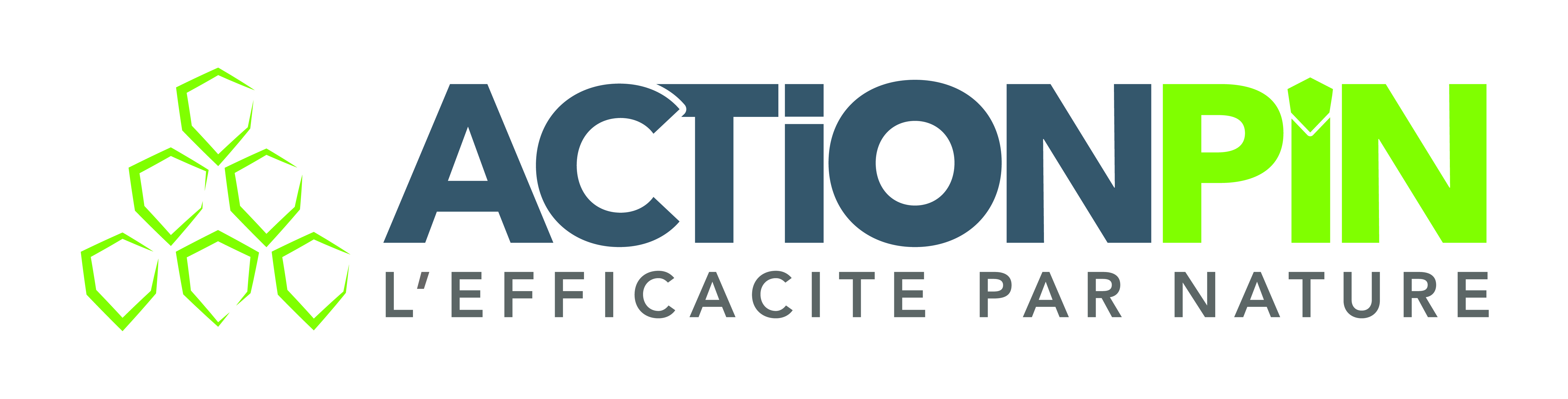 Logo : Le Vrai Professionnel