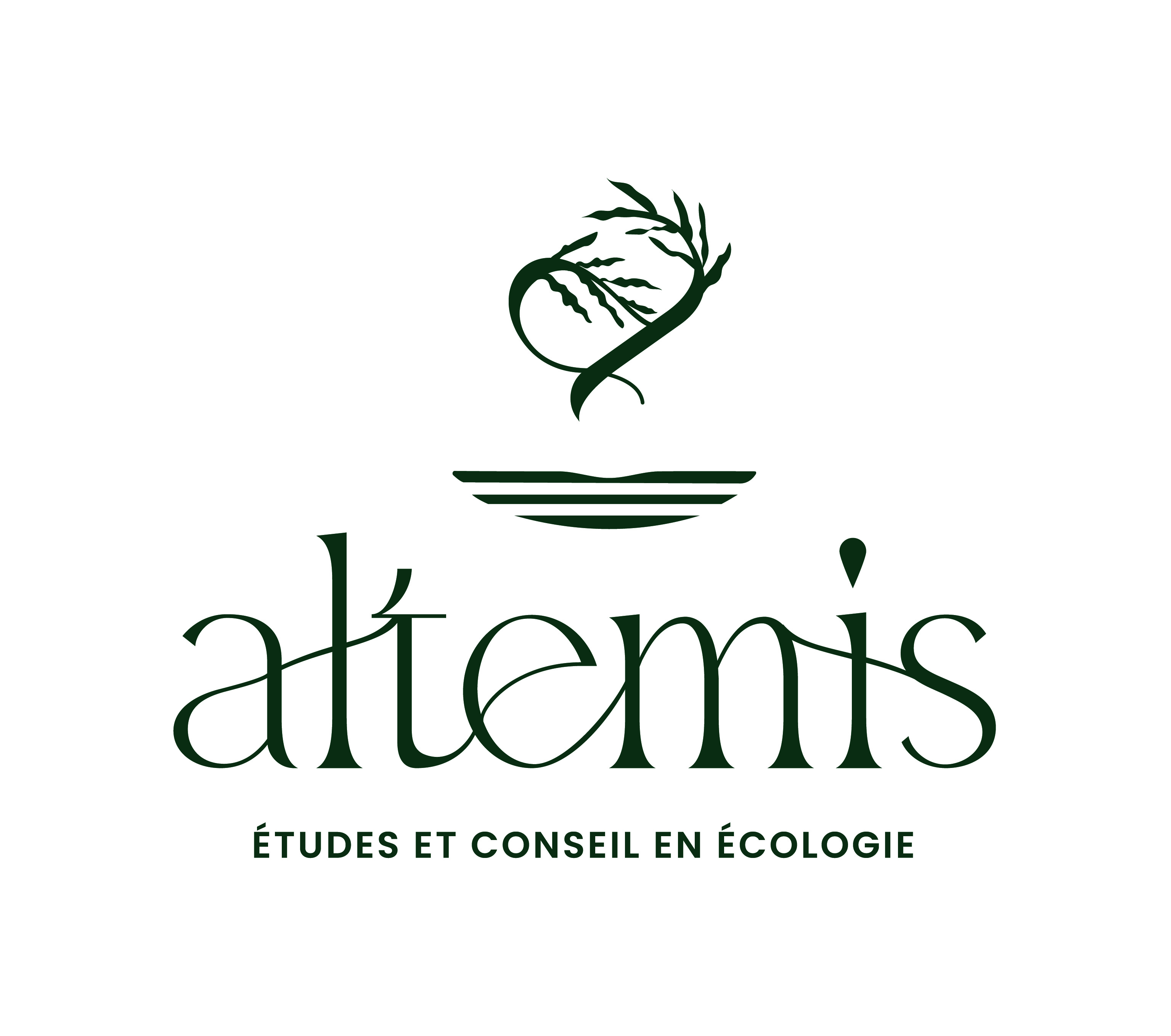 Logo : ALTEMIS